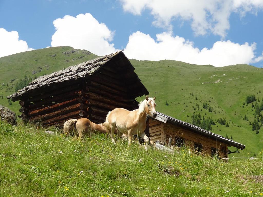 Gaestehaus Zwischenberger Obervellach Eksteriør bilde